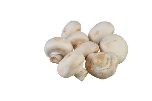 68